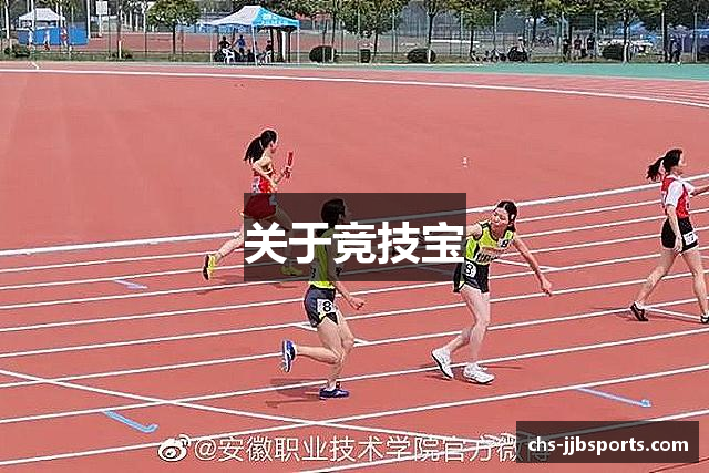 关于竞技宝